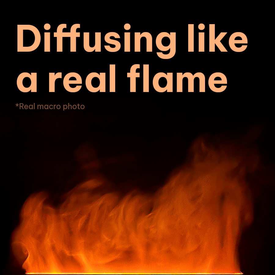 Blio Aromatherapy Oil Diffuser